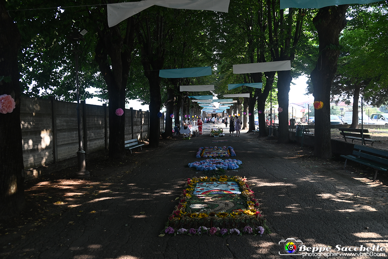 VBS_9886 - Infiorata Santuario della Madonnina di Villanova d'Asti 2024.jpg